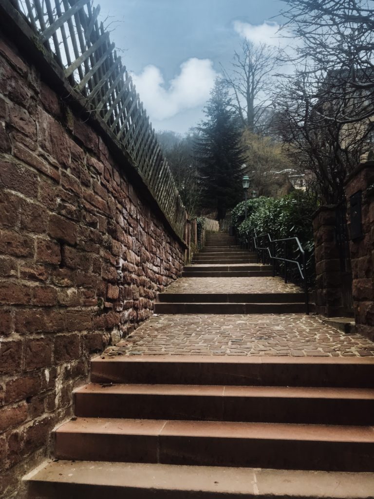 Photo taken the time I decided to climb the stairs to Heidelberg Castle the same day I went to the gym. Never do this. 