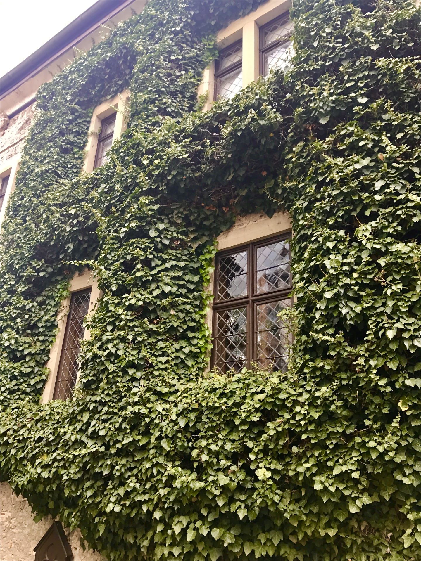 Ivy-covered building in the courtyard of Schloss Lichtenstein